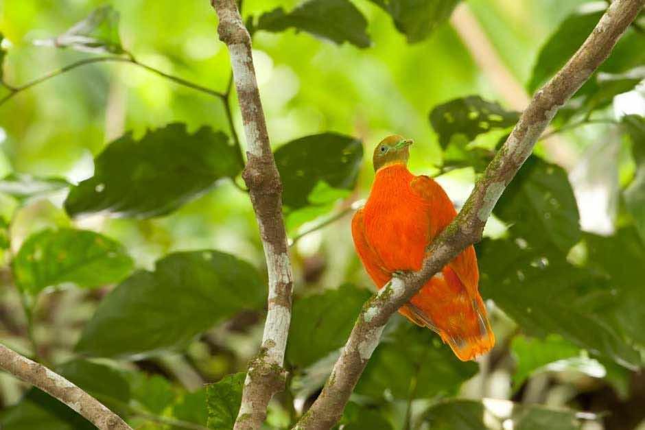 Taveuni Palms Resort Matei Ngoại thất bức ảnh